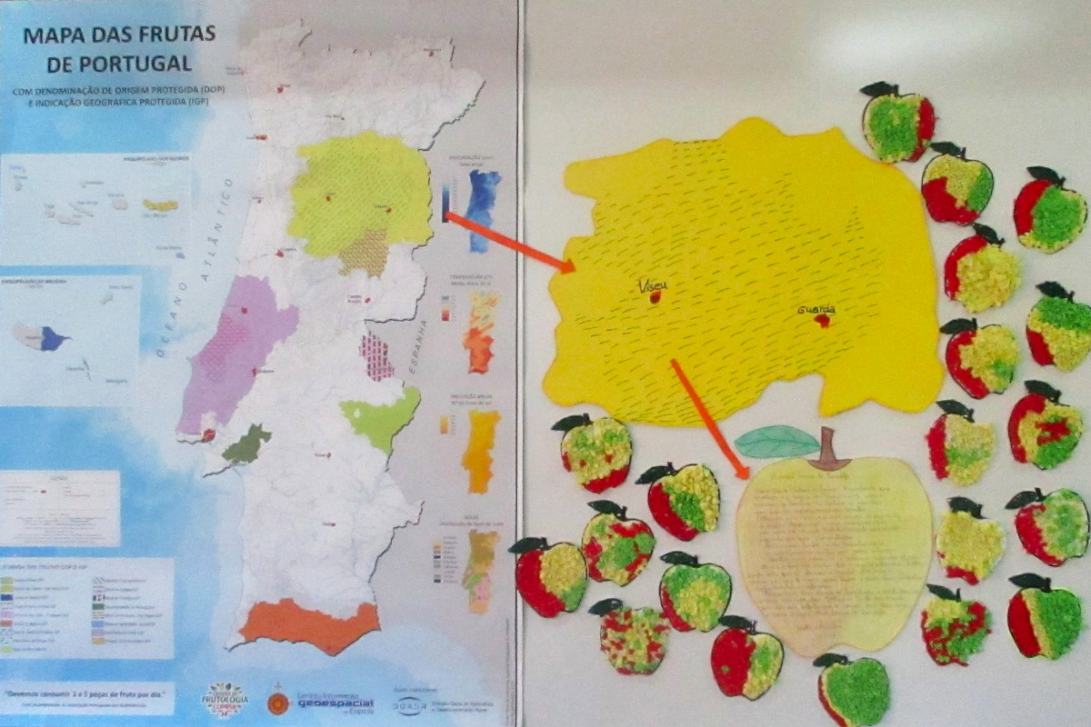 Quais os vencedores da Volta a Portugal em Fruta?