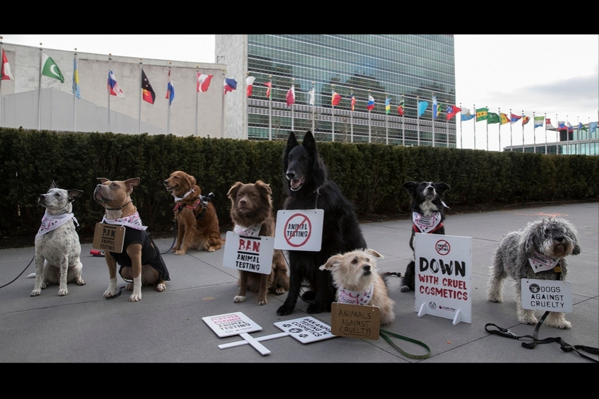 The Body Shop sai em defesa dos animais