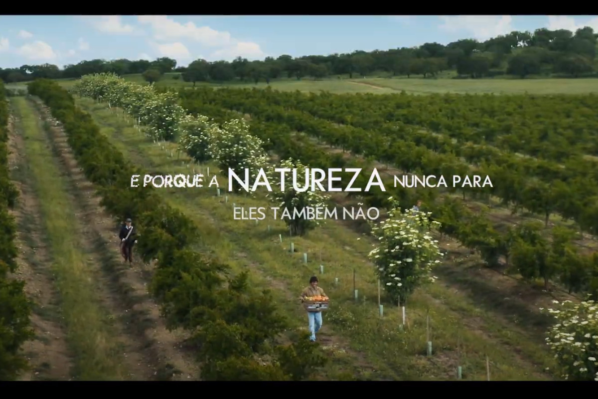 A natureza não fica em casa