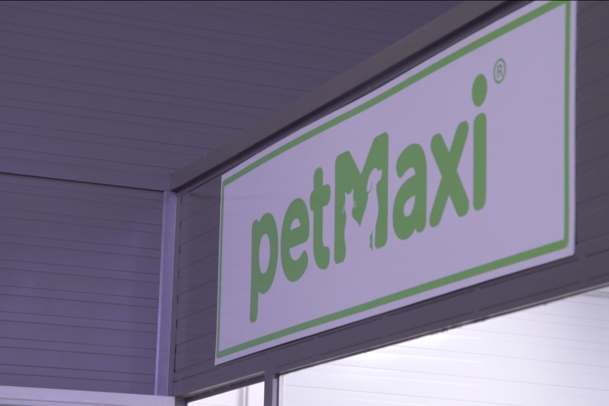 Tendências que alimentam o pet market 