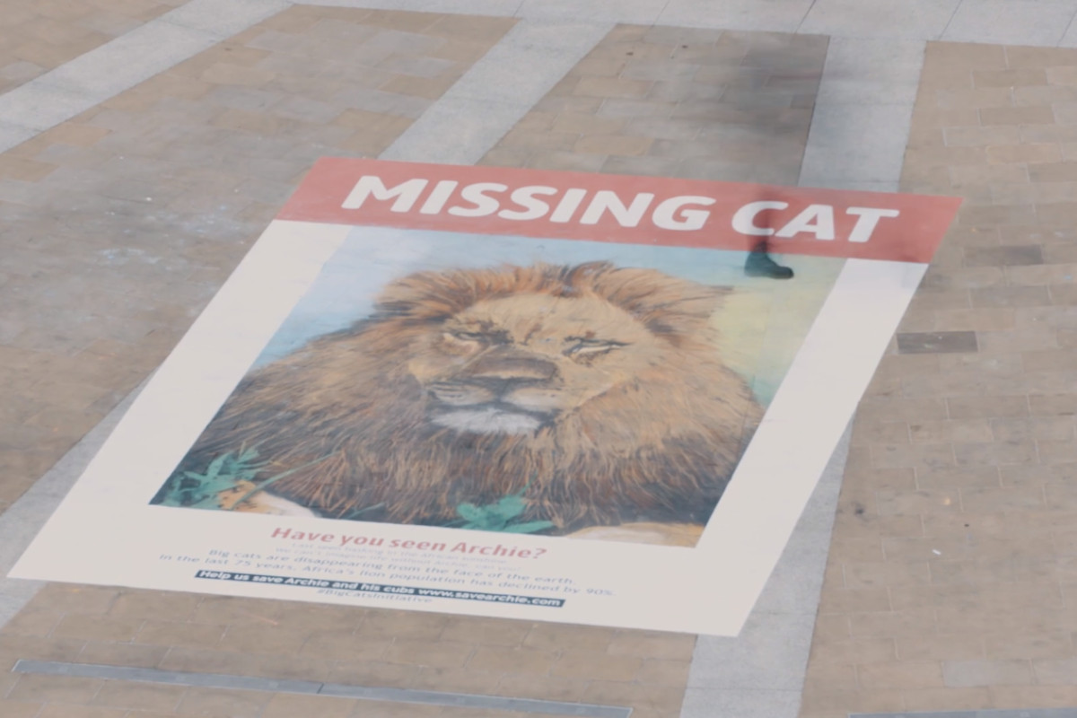 National Geographic sensibiliza para a extinção de felinos
