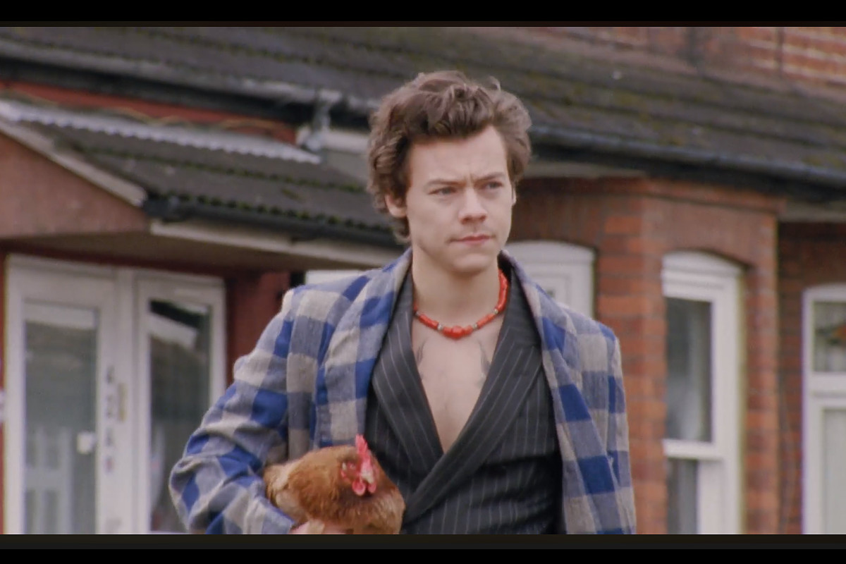 Galinhas, Batatas e Harry Styles na campanha da Gucci