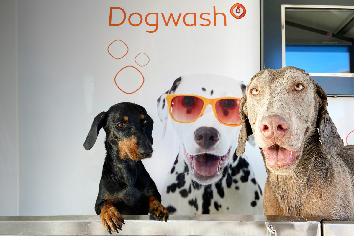 Galp expande rede de serviço Dogwash