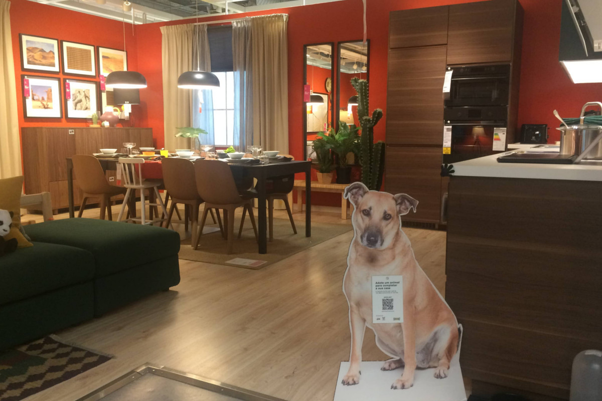 IKEA celebra dia do animal de estimação