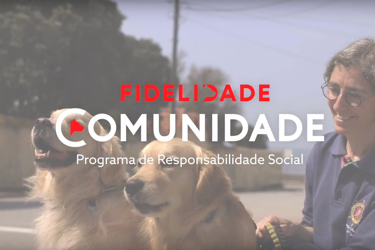 Instituições sociais premiadas pela Fidelidade Comunidade