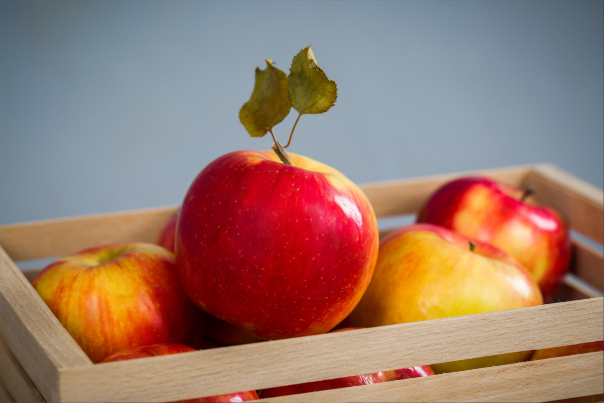 A tecnologia está a influenciar a nossa alimentação?