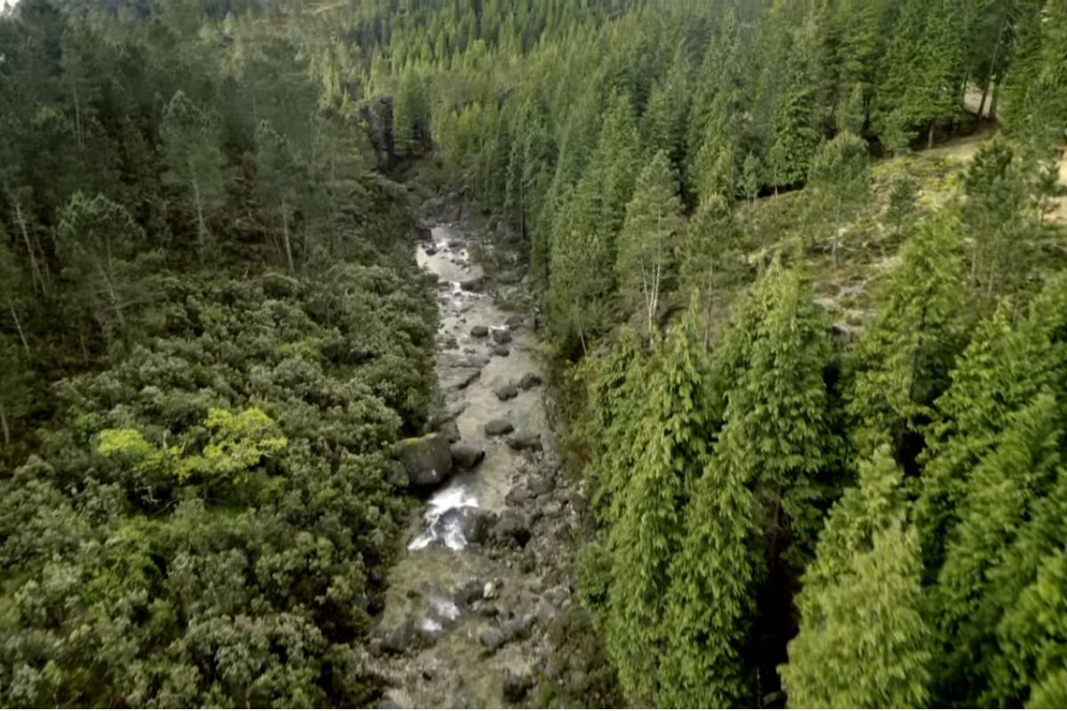 Nova campanha de Pedras criada na Natureza