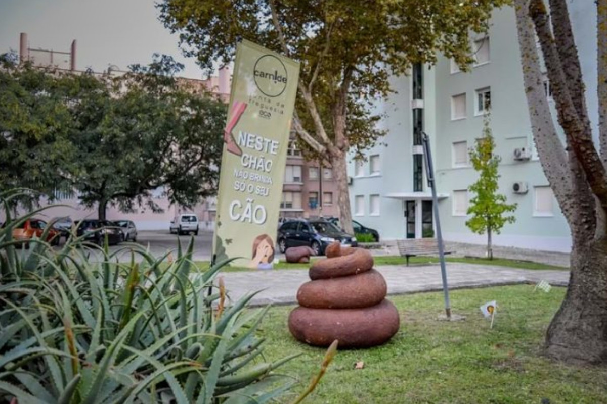 Cocós por todo o lado!