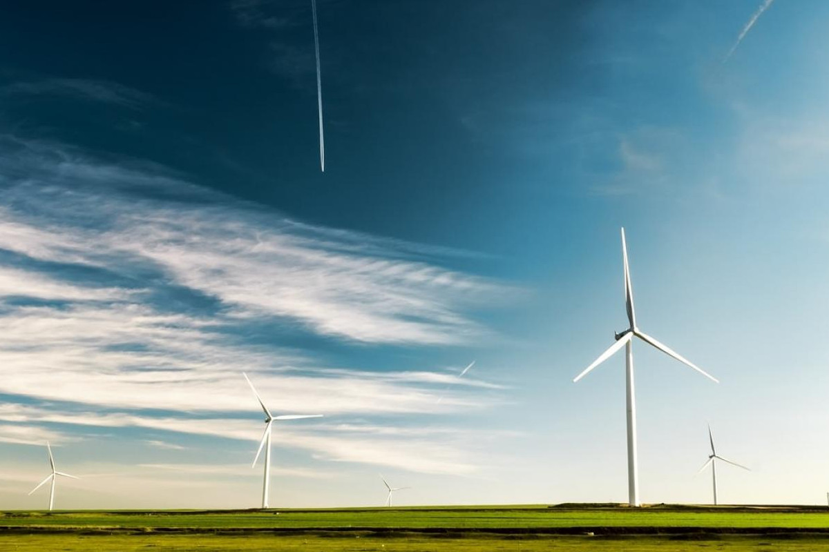 EDP anuncia descarbonização ambiciosa até 2030