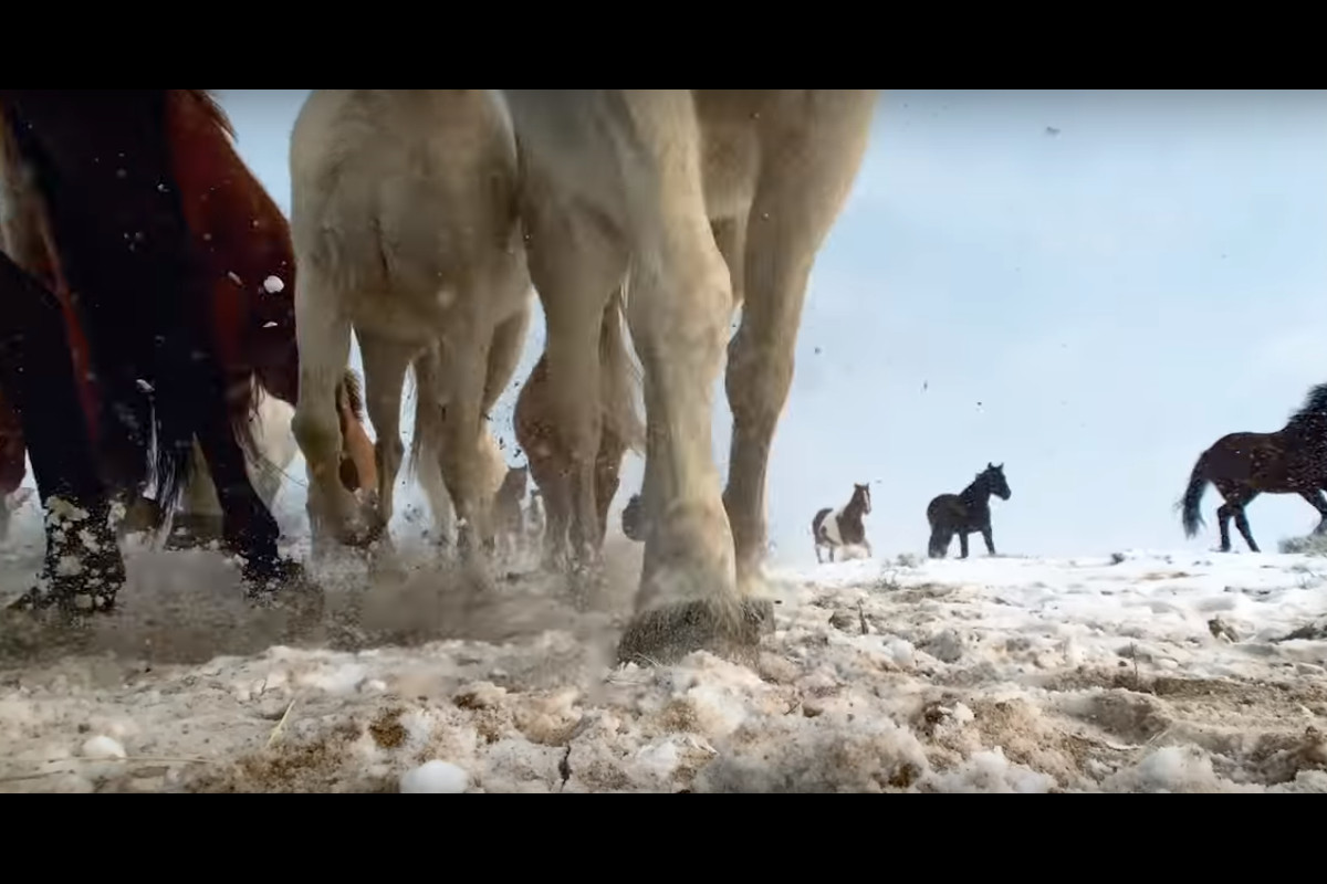 Apple: não se metam com a Mãe Natureza