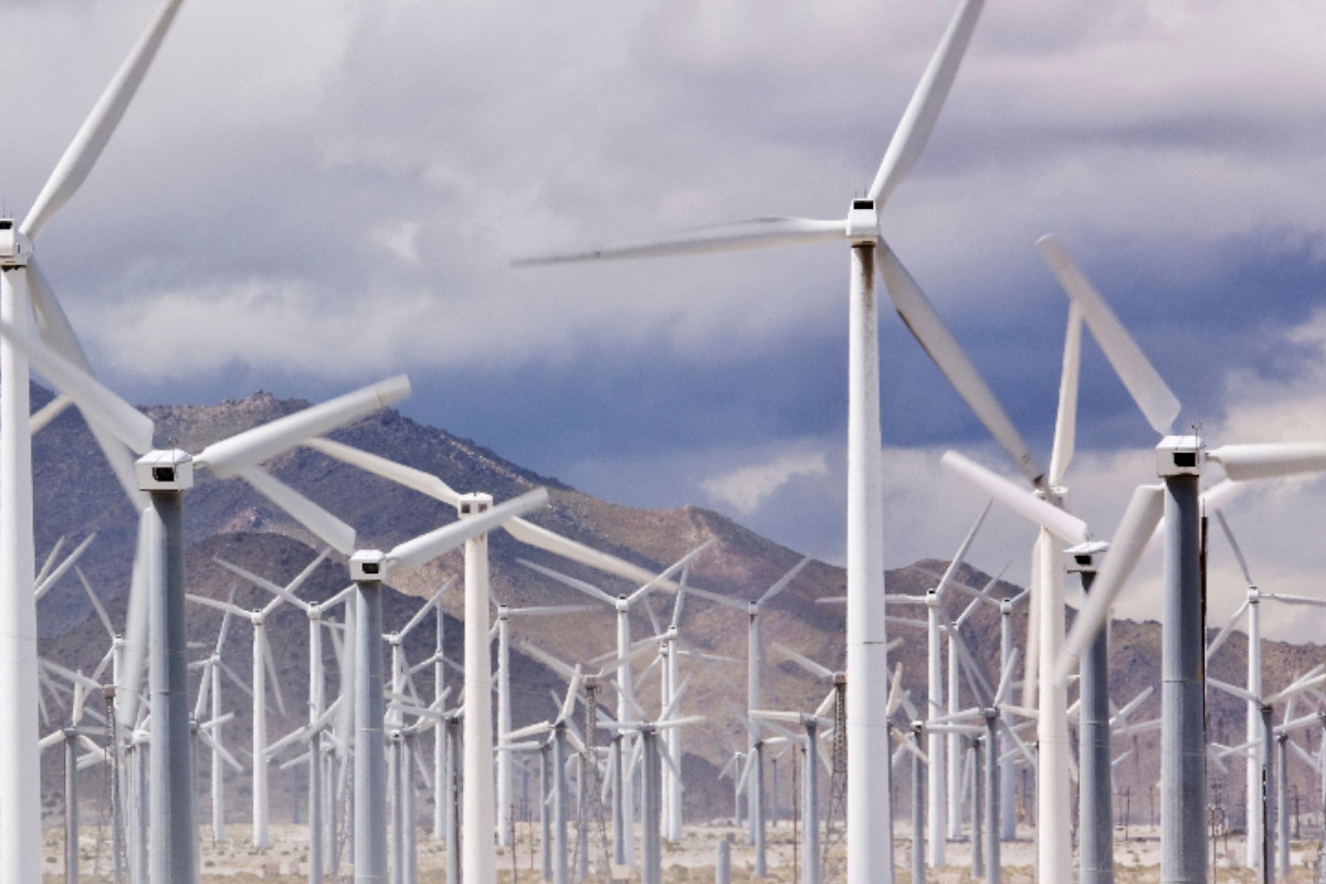 Startup Samawatt vence EDP Open Innovation
