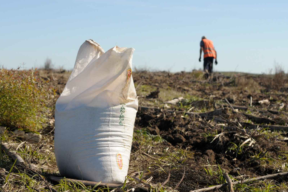 C&amp;A torna-se numa marca neutra em emissões de carbono