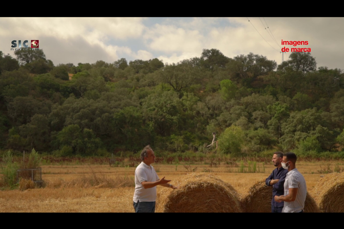 No Alentejo planta-se inovação! 