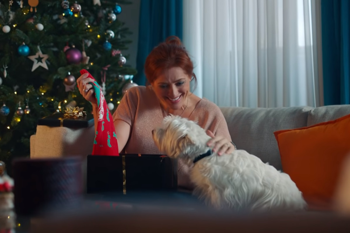 Cães desenham camisolas de Natal em nova campanha