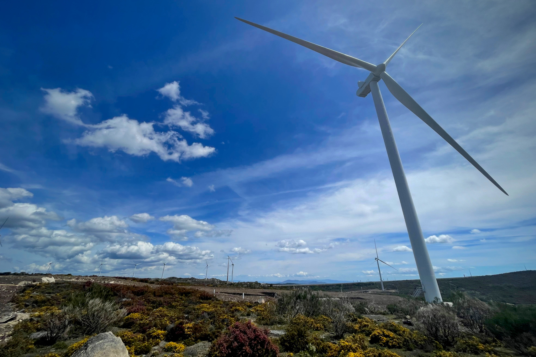 Maior Parque Eólico Da Edp Já Consegue Fornecer Eletricidade A 130 Mil