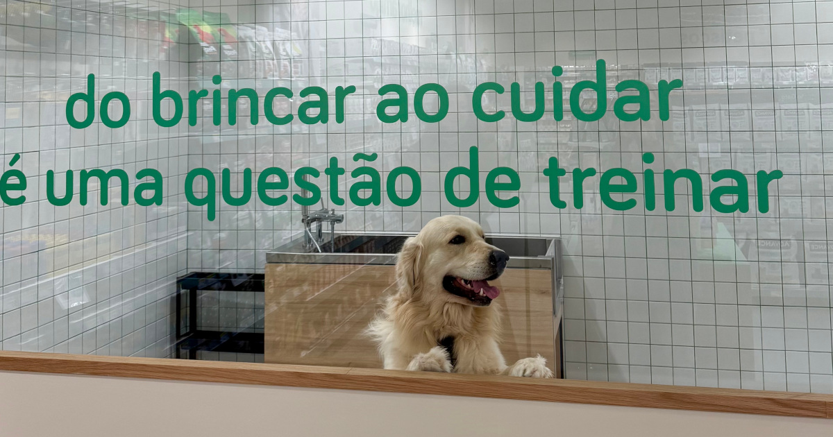 ZU inaugura projeto PetSchool para desenvolver competências dos tutores