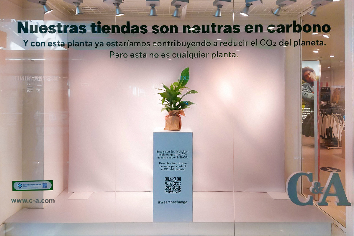 C&amp;A troca manequins das montras por plantas 