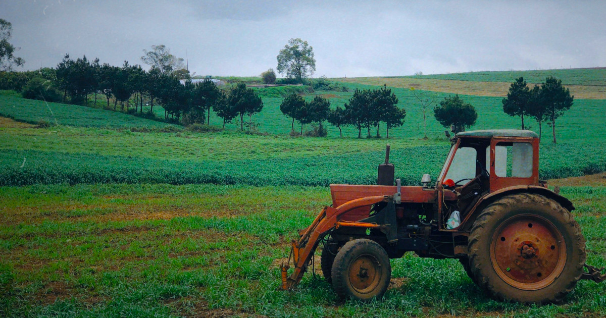 Clube de Produtores Continente comprou 650 milhões de euros à produção nacional em 2025
