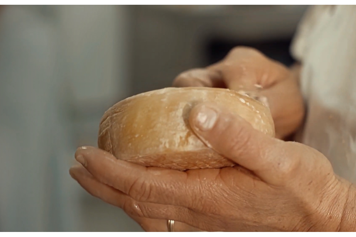 Queijos do Centro Portugal: a marca que homenageia pastores e queijos DOP