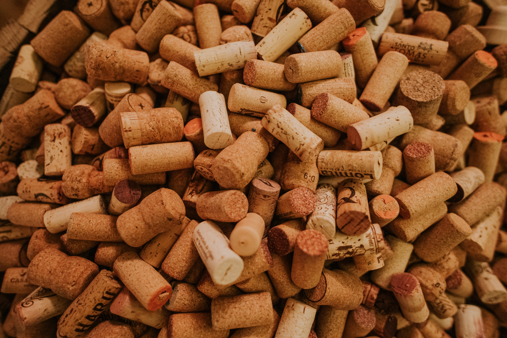 Sogrape e Amorim Cork alertam para a importância da reciclagem de rolhas de cortiça