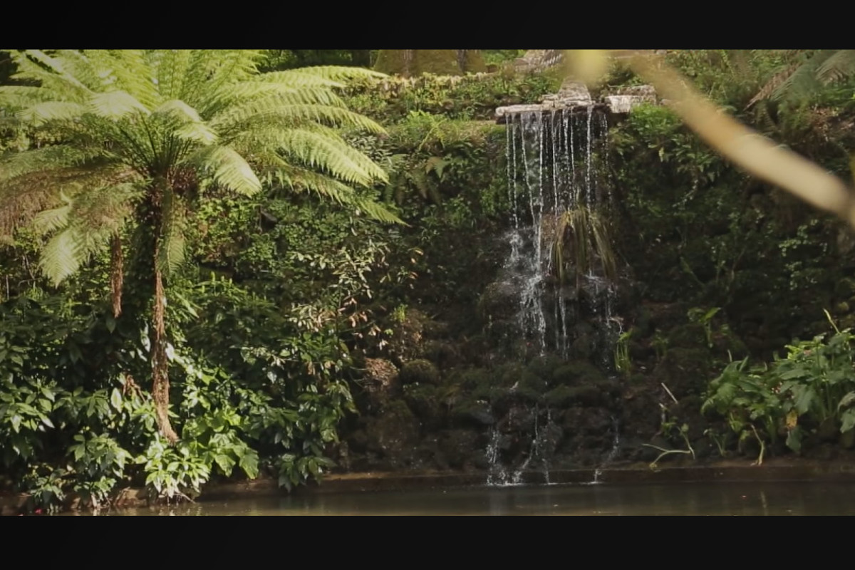Água de Luso: a relação natural entre marca e território