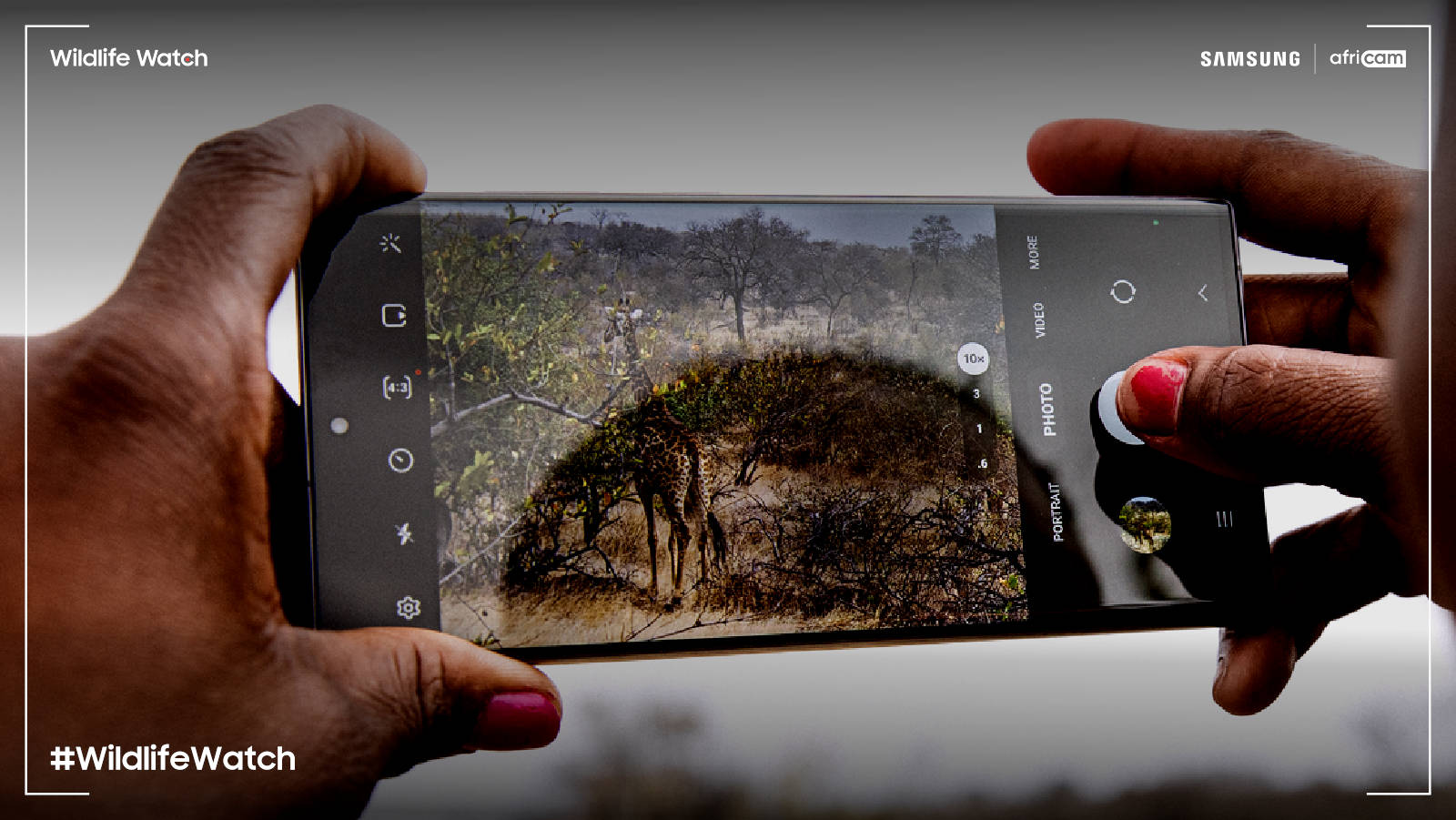 Samsung usa tecnologia presente em telemóveis para acabar com a caça animal ilegal