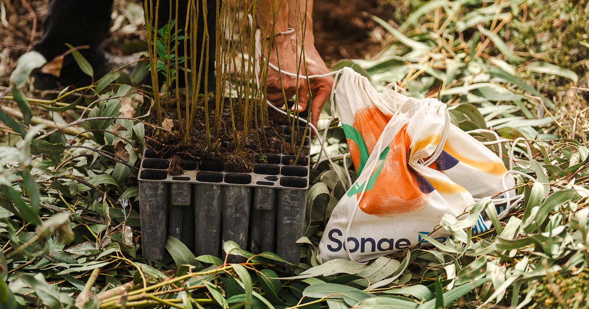 Sonae entre as 10 melhores empresas do setor no S&amp;P Global Sustainability Yearbook