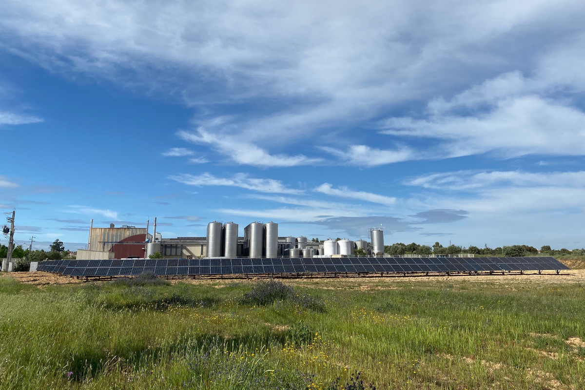 Um vinagre nascido de uma produção energética 100% verde