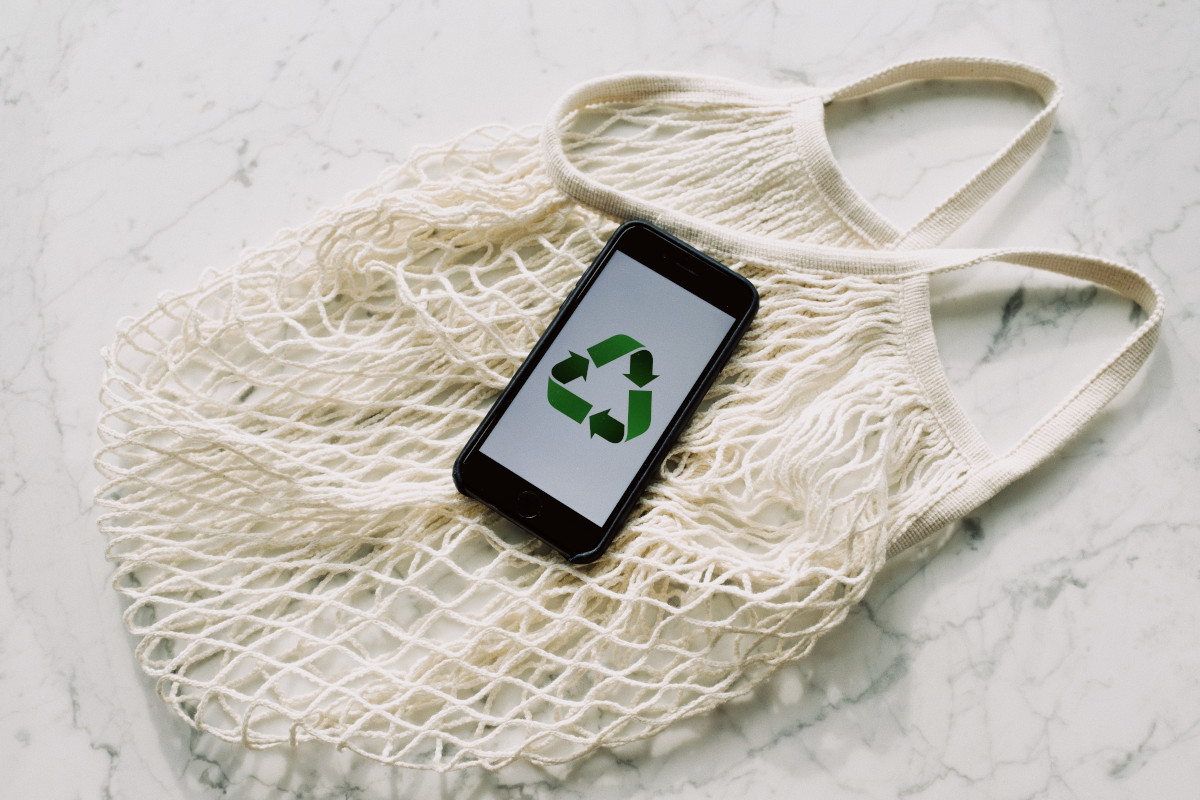 Como a sustentabilidade influencia as decisões de compra