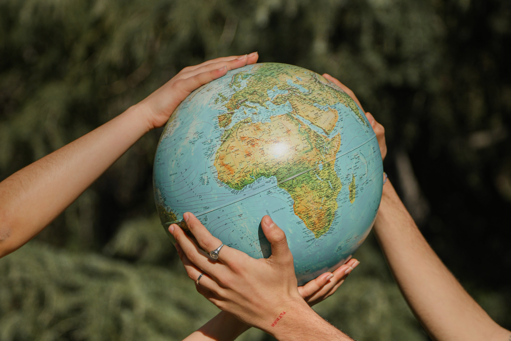Fidelidade é uma das seguradoras mais sustentáveis do mundo