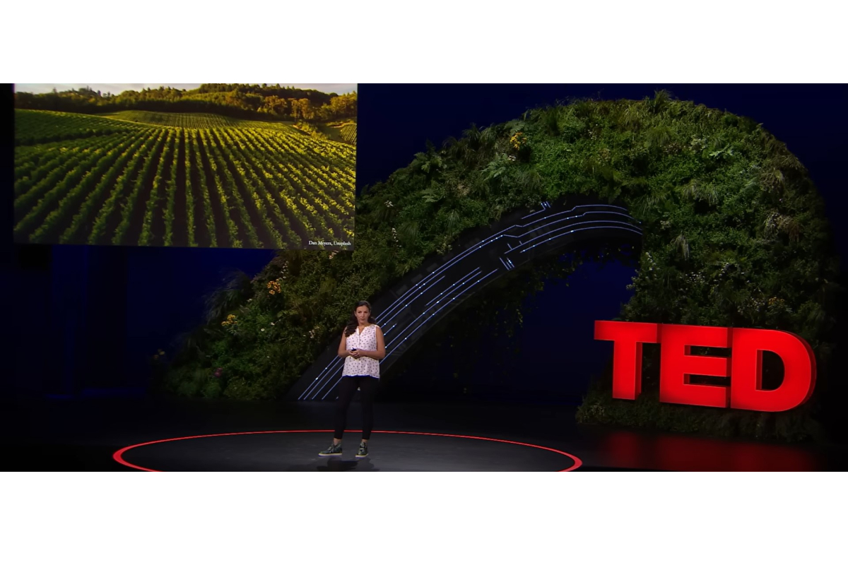 Seis anos depois, as TEDx estão de regresso a Lisboa