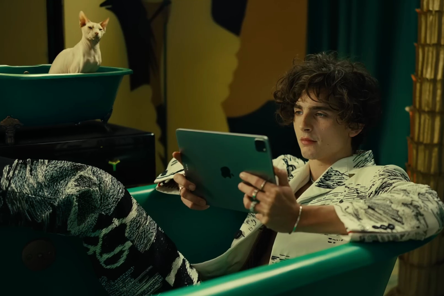 Timothée Chalamet quer muito trabalhar com a Apple TV+ 