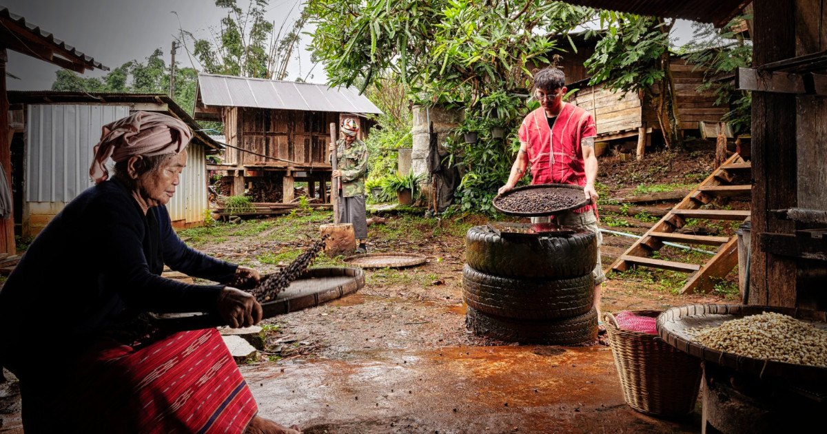 Café da Floresta do Toki é protagonista da nova edição da revista DDD – D De Delta