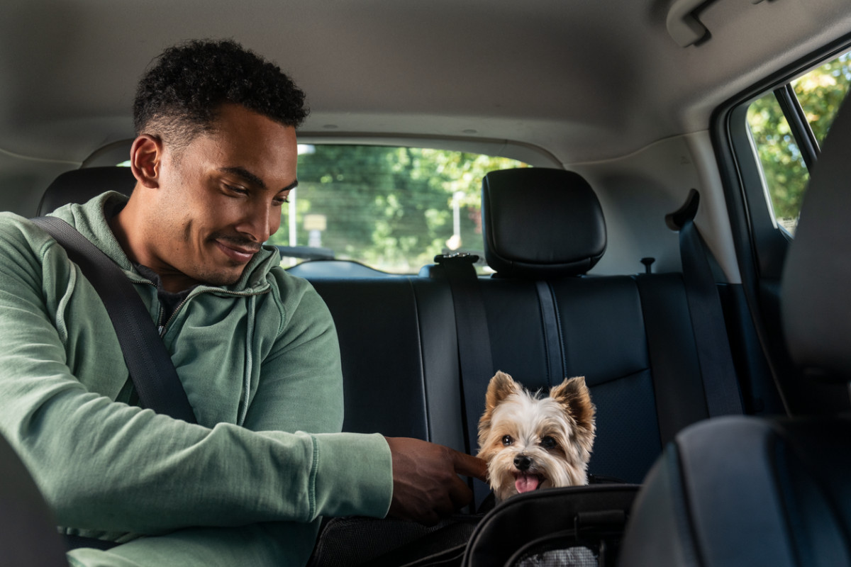 Uber lança serviço que permite aos clientes viajarem com animais de estimação