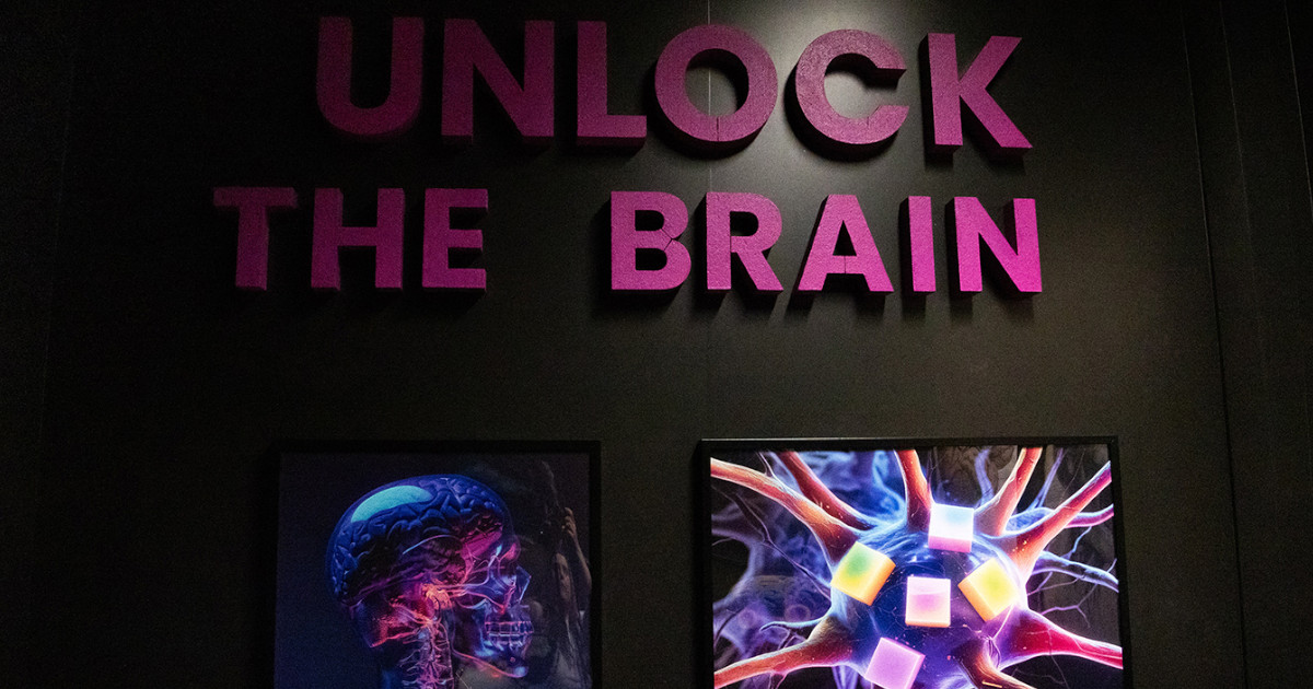 Universidade Católica cria escape room dedicado ao cérebro e às Neurociências