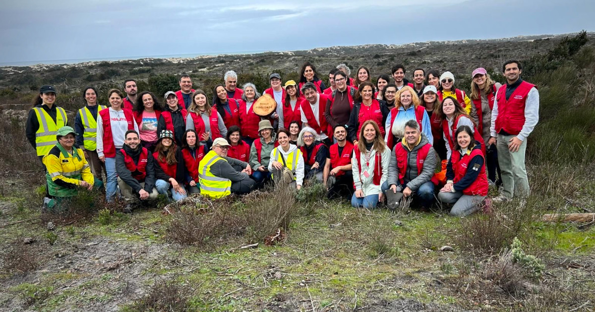 Fidelidade e ZERO unem esforços para reflorestar a Mata Nacional de Leiria