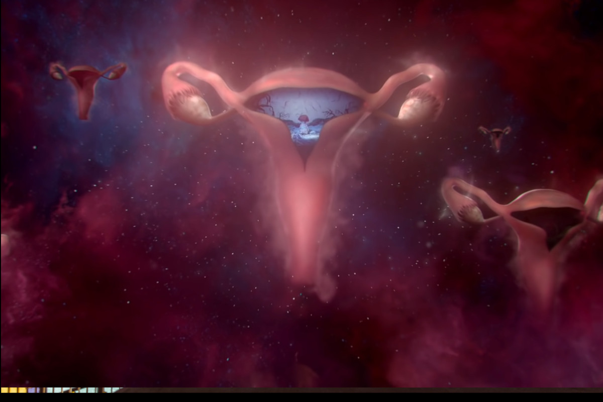 Campanha #Wombstories soma quatro Grand Prix no Cannes Lions
