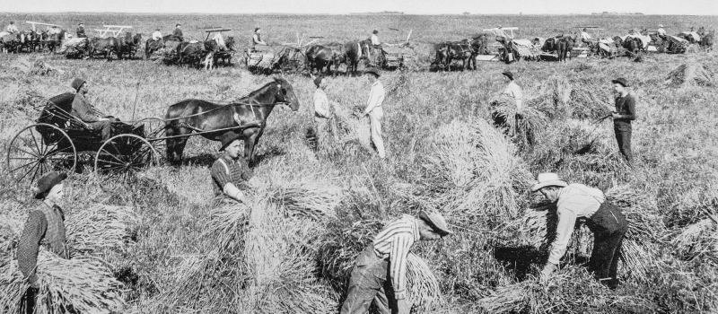 10 momentos que mudaram a história da cerveja