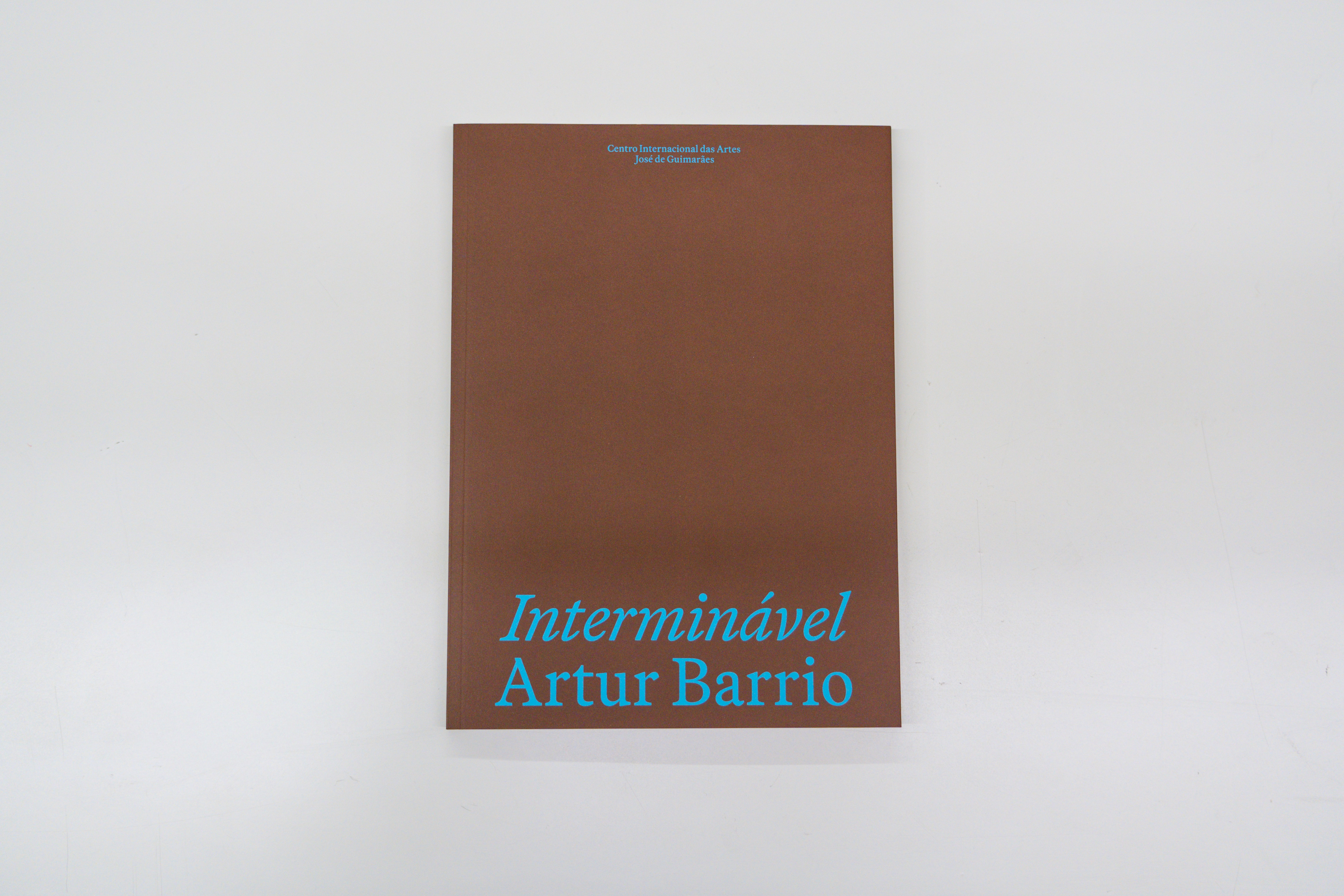 Catálogo da exposição Interminável - Artur Barrio