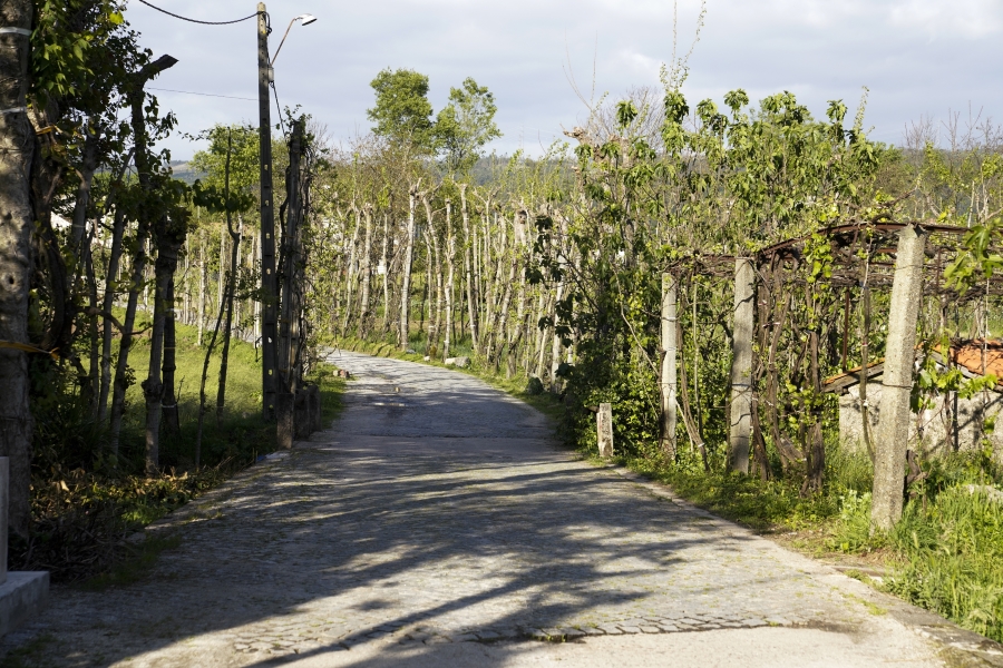 19.06 - 19.10 | CAMINHOS EM VOLTA