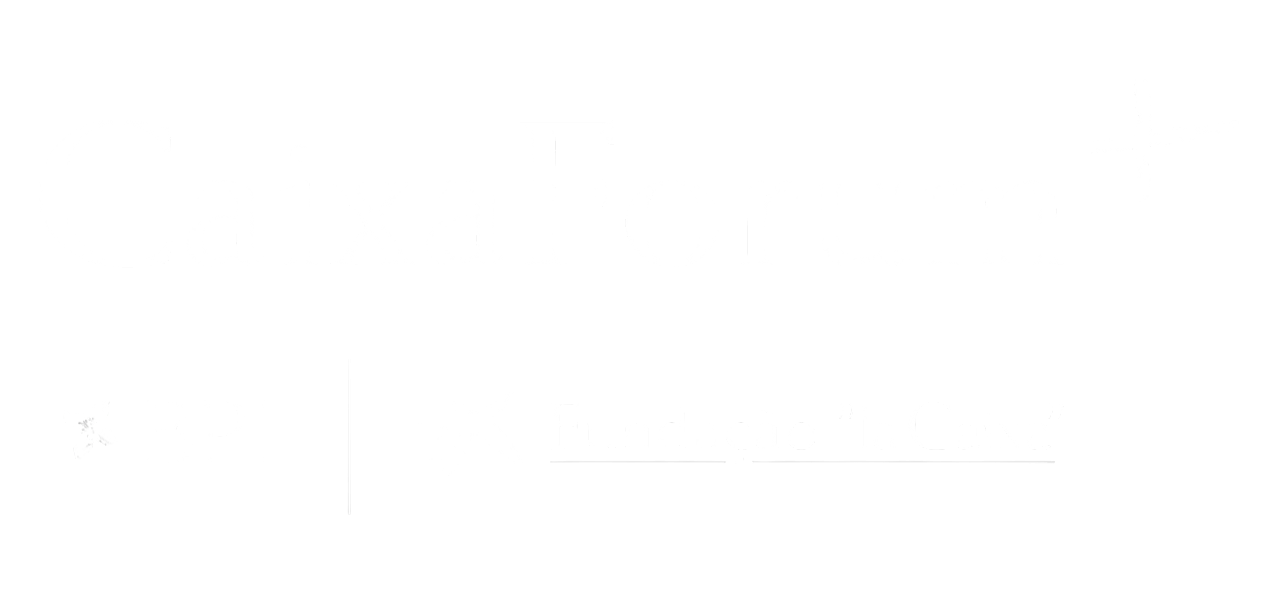 Fundação La Caixa