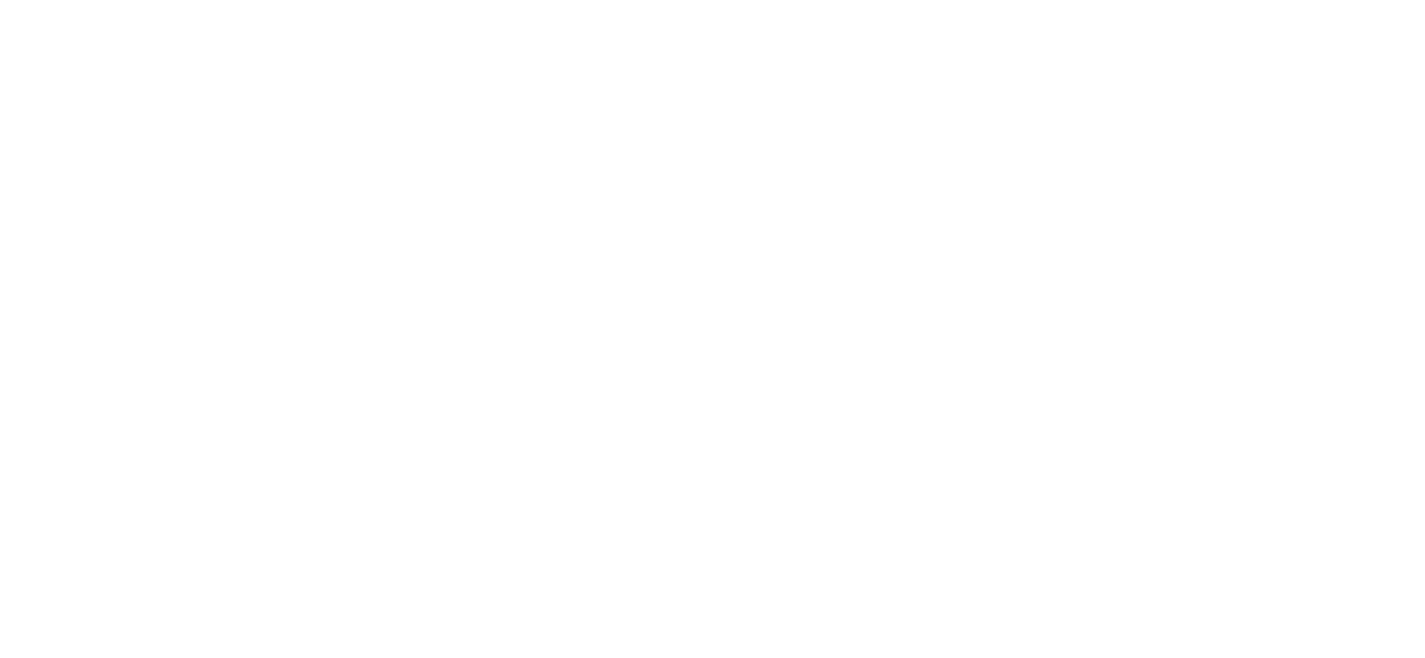 Ach Brito