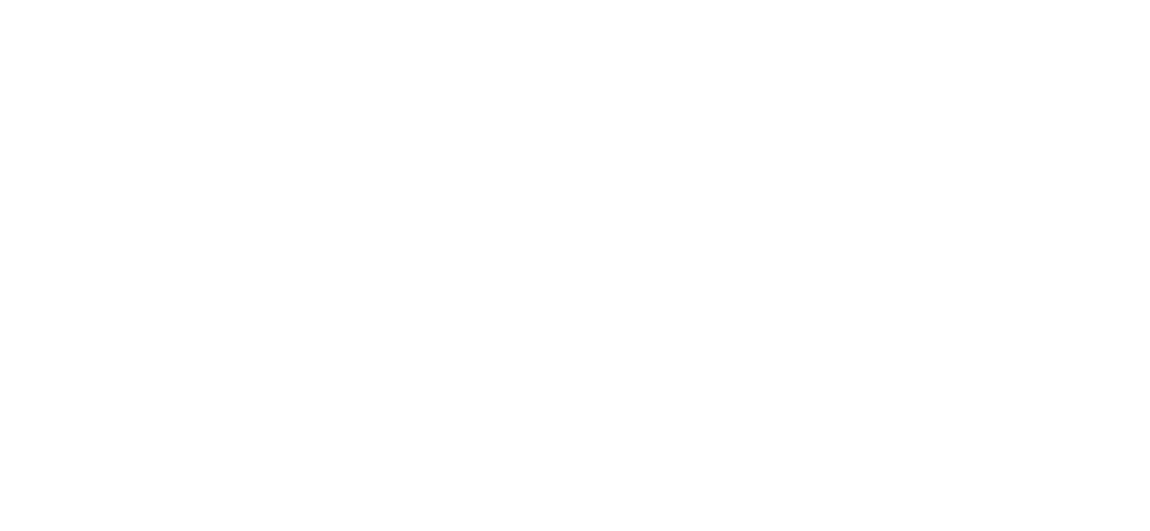 Autobemguiados