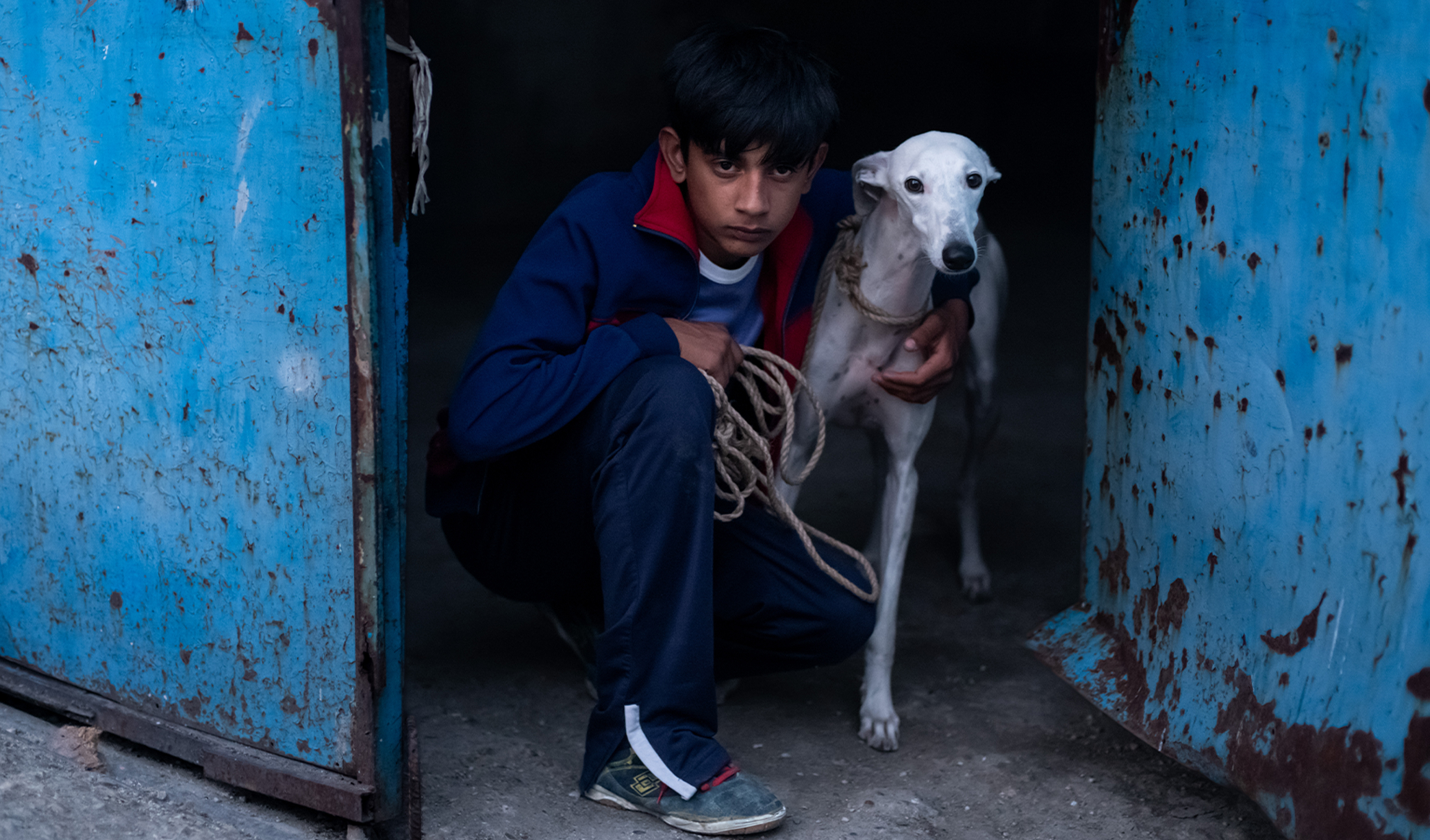 2026 - New Voices - Guillermo Galoe (EN)