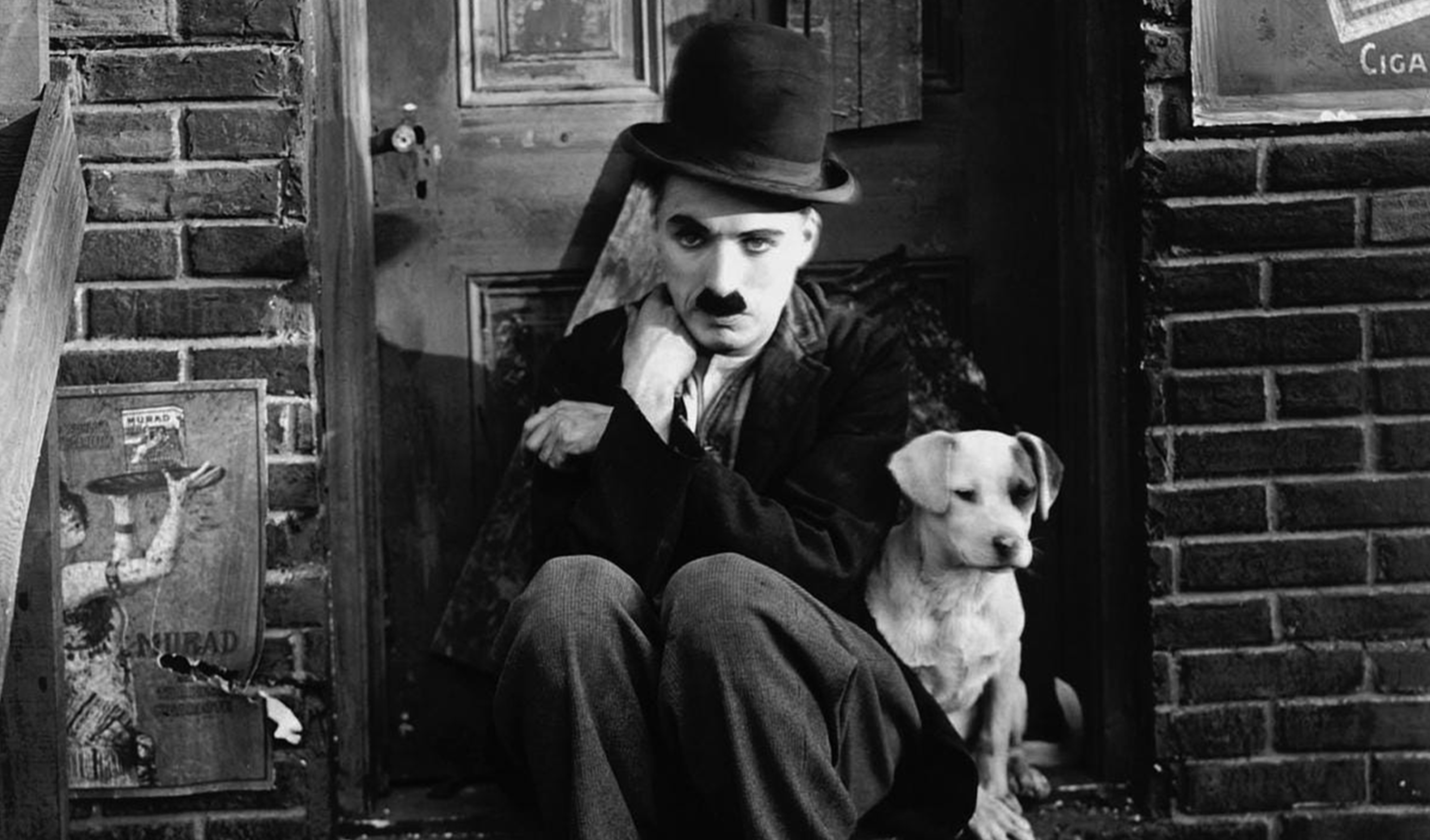 2026 - Special Screenings - Pet Curtas