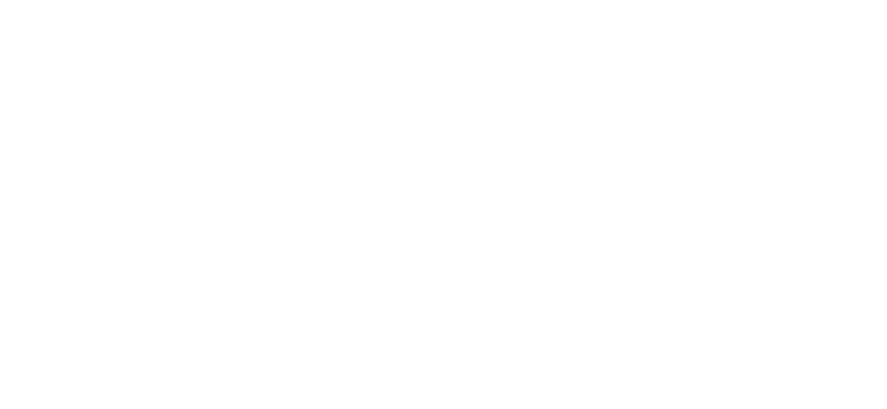 Personal Travel