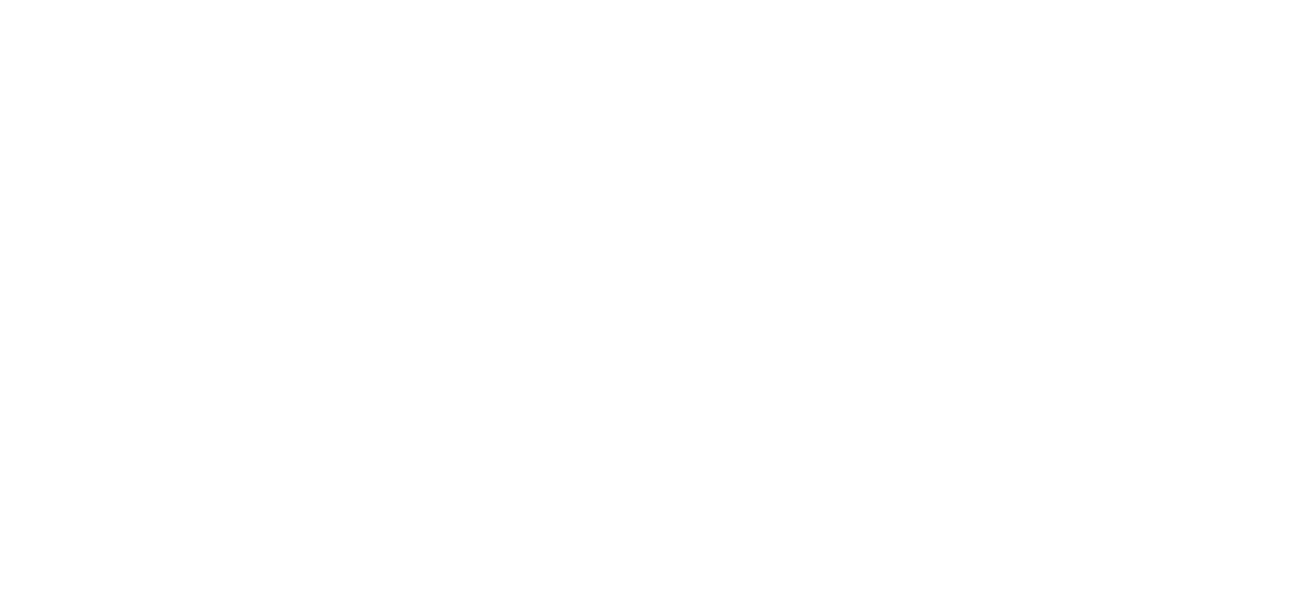 RIFF - Reykjavík International Film Festival