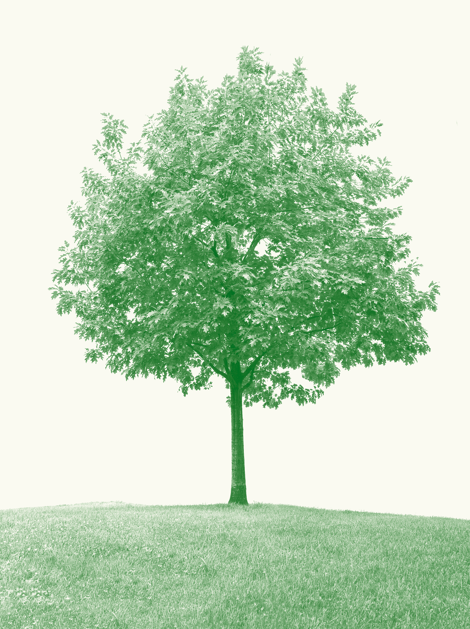 ORÇAMENTO DO ESTADO PARA 2026