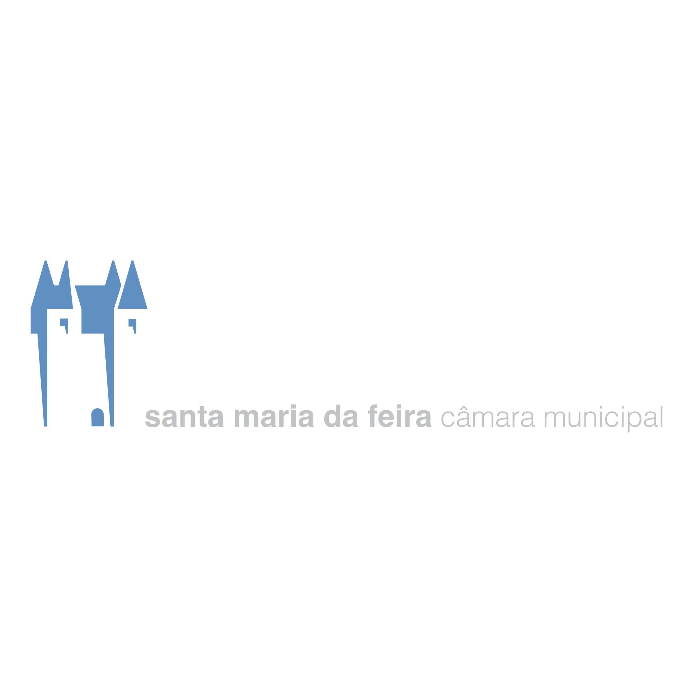110 Câmara Municipal de Santa Maria da Feira