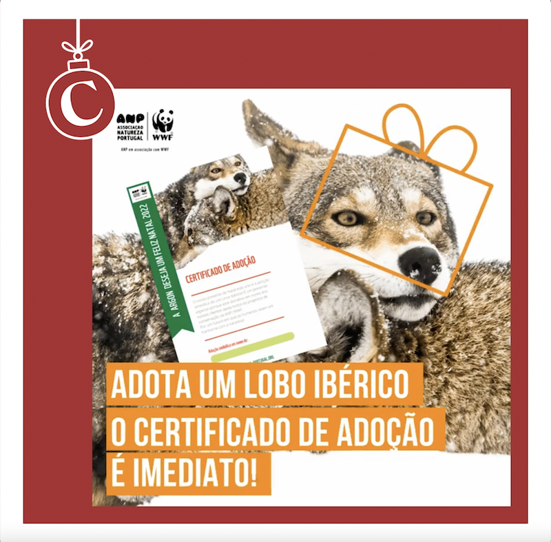 2022 Natal sem ideias? O Clube ajuda